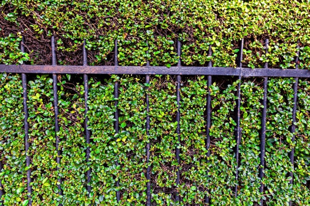 تصميم السور الخارجي للمنزل: دليل شامل لتحقيق الأمان والجمال 1000197636 تصميم السور الخارجي
