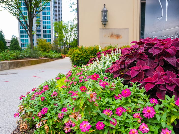1000187153 hotel landscape design